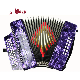 31 Button 12 Bass Button Accordion-Many Colors for Choice (B3112) manufacturer