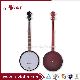 Brown ABS Resonator 5-String OEM Banjo (ABO165G-BR) manufacturer