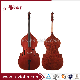 Top Sale Handmade Advanced Flamed Double Bass (BH100Y) manufacturer