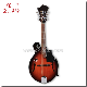 Solid Spruce Top Mandolin Instrument manufacturer