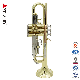 Tricolor Bb Trumpet (ATR3506GT) Gold Lacquer with Case manufacturer