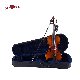 Top Sale Solid Wood Carved Acoustic Student Viola (LG107) manufacturer