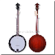 Remo Head 5 String Banjo Guitar (ABO245G) manufacturer