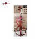 Solid Wood Body 4 Strings 4/4 Electric Cello with Soft Bag (CE110BE) manufacturer