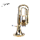China Factory 4 Valve Baritone Horn with Bag manufacturer