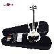 4/4 Electric Violin Outfit with Foamed Case & Bow (VE008B-EFP/VE008BE) manufacturer