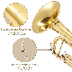 General Grade Bb Key Yellow Brass Body Student Model Trumpet manufacturer