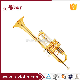 Professional C Key Gold Lacquer Trumpet