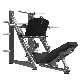 Realleader Hot Sale Professional Strength Fitness Equipment 45-Degree Leg Press (FM-1024D) manufacturer
