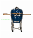 Grill/Charcoal Barbecue Cooker /Ceramic BBQ Grill manufacturer