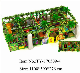 Children Trampoline with Ball Pool Slide Indoor Equipment (TY-170509-4) manufacturer