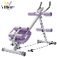 Abdominal Machine Ab Workout Equipment Adjustable for Home Gym manufacturer