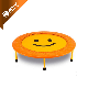 Gym Equipment Fitness Exercise Indoor Gymnastic Mini Trampoline manufacturer