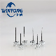 Phosphorus Gray/Phosphorus Black/Rust/Corrosion Resistant/3.5 X16-25-50 Drywall Screw manufacturer