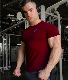 New Men′s Gym Running T-Shirt Cotton Sports Leisure Round Neck manufacturer