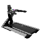 Venus Touch Screen AC Commercial Treadmill Gym Fitness Equipment manufacturer