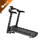 Hot Sell Home Use Commercial Treadmill for Gym manufacturer