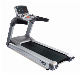 19 Touch Screen AC 6.5HP Commercial Motorized Treadmill Gym Equipment manufacturer