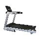 Home Use Folded Deluxe Motorized Touch Screen Treadmill Cardio Equipment manufacturer