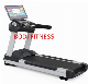 Commercial Running Treadmill Machine Gym Fitness Equipment Home Electric Walking Treadmills manufacturer