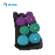 All-Inclusive Multi-Weight PVC Dumbbell Set for Home Gyms