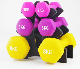 Customized Dumbbell Neoprene Dumbbell Vinyl Dumbbell manufacturer
