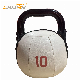Newfield Fitness Equipment Wholesale Weight Lifting Kettlebell Home Gym Equipment Soft Kettlebell manufacturer