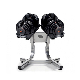 Home Gym Workout Fitness Equipment Adjustable Dumbbell Set manufacturer
