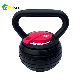 40lb Adjustable Kettlebell Dumbbells Kettle Bell Customized Color manufacturer