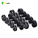 Gym Fitness Equipment Rubber Round Dumbbell manufacturer