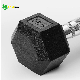 Wholesale Promotional Commercial Fitness Home Use Hex Rubber Dumbbell manufacturer
