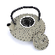 Temperature Retaining Cast Iron Kettle with 304 Stainless Steel Infuser Cast Iron Teapot manufacturer