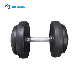 Non-Slip Hand Weights Dumbbell for Home Gym Workouts Strength Training manufacturer