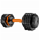 Single 55lbs Adjustable Dumbbell Home Gym manufacturer