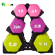 Hot Sells Colorful Neoprene Coated Hand Weight Set with Rack Light Weights Workout Neoprene Dumbbell manufacturer