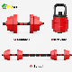 Factory Wholesale 15 Kg Adjustable Dumbbells Free Weights Cast Iron Cement Dumbbell manufacturer