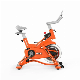 Mr-D02 New Arrival Spinning Bike Spin Bike for Gym manufacturer