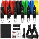 Resistance Band 11 Piece Home Gym Training Workout Kit for Power Lifting and Strength Training Cardio Exercise manufacturer