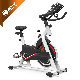 Indoor Home Use Spinning Bike Gym Sports Exercise Fitness Equipment manufacturer