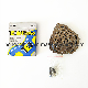 Bicycle Single Speed Chain Tec Brand 114L manufacturer