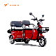 Electric Tricycles 800W 60V Family Use 3 Wheel manufacturer