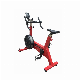 Cheap Price Gym Fitness Equipment Exercise Bike