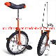 Single Wheels Bike Sports Bikes for Adult and Kids manufacturer