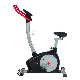 Home Use Exercise Fitness Equipment Magnetic Upright Recumbent Bike with Promotion Price manufacturer
