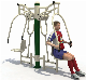 Amusement Commercial Outdoor Adult Fitness Gym Equipment manufacturer
