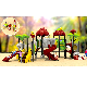 Kid′s Outdoor Plastic Playground Amusement Park Equipment manufacturer