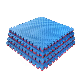 100X100X4cm Interlocking EVA Foam Martial Arts Karate Taekwondo Tatami Floor Mat manufacturer