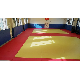 Factory Custom Judo Floor Tatami Mats for Sports