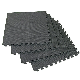 EVA Foam Taekwondo Tatami Floor Mats Wtf manufacturer