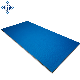 High Quality Vinyl Home Roll out Mats manufacturer